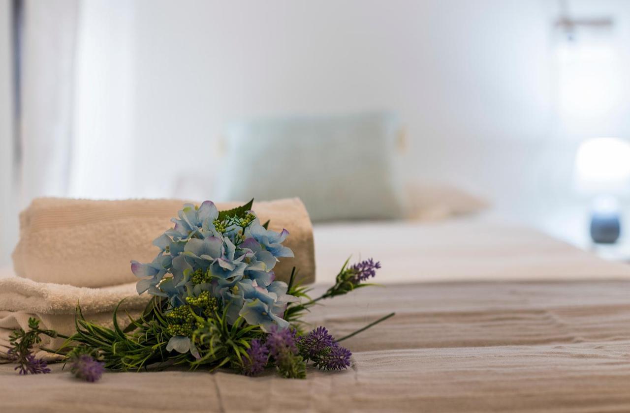 Apartament Cruz Vieja Centrico 3 *