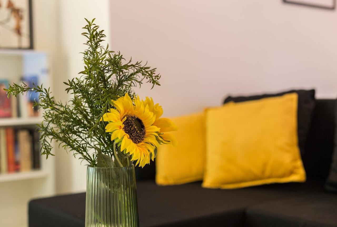 Apartament Cruz Vieja Centrico 3 *